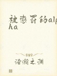 被惩罚的alpha