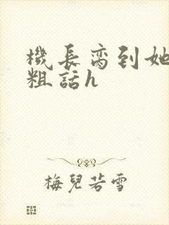 机长脔到她哭h粗话h