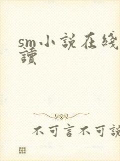 sm小说在线阅读