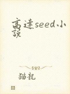 高达seed小说
