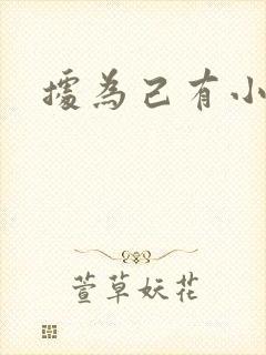 据为己有小说封面