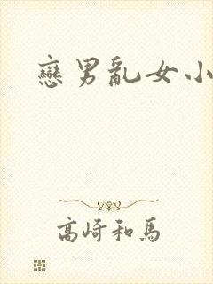恋男乱女小说