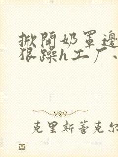 掀开奶罩边躁狠狠躁h工厂小说封面