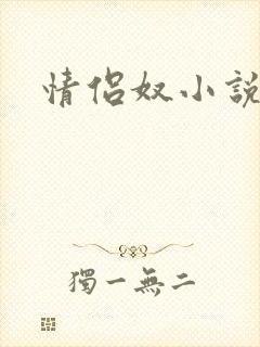 情侣奴小说封面