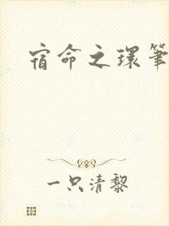 宿命之环笔趣阁