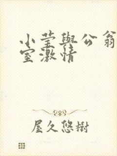 小莹与公翁办公室激情