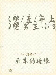 (双/产/年上)双男主小说