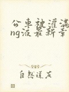 公车被灌满jing液最新章节