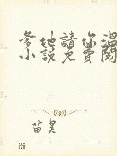 爹地请你温柔点小说免费阅读