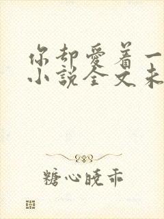 你却爱着一个他小说全文未删减免费