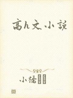 高h文小说