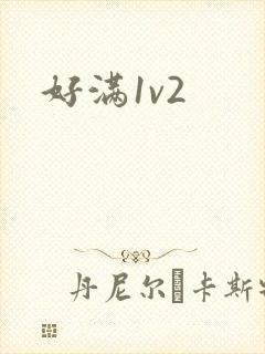 好满1v2