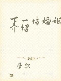 下一站婚姻剧情介绍