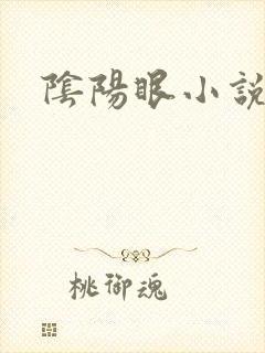 阴阳眼小说封面