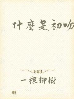 什么是初吻封面