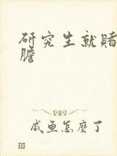 研究生就赌一个胆封面