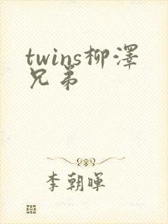 twins柳泽兄弟