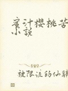 蜜汁樱桃苦咖啡小说