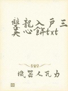双龙入户三人行夹心饼txt