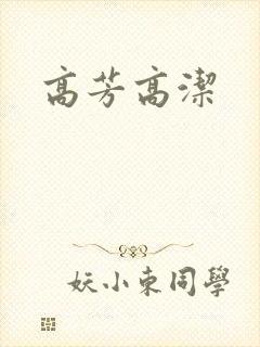 高芳高洁封面