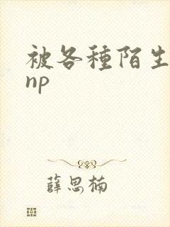 被各种陌生人 np封面