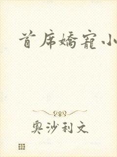 首席娇宠小情人