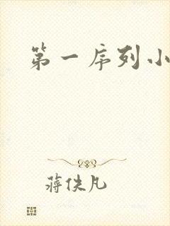 第一序列小说