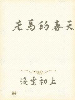 老马的春天封面