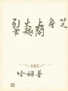 引火上身芝麻糖笔趣阁