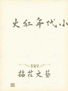 火红年代小说