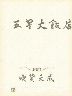 五星大饭店小说