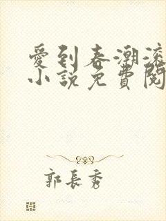 爱到春潮滚滚来小说免费阅读封面