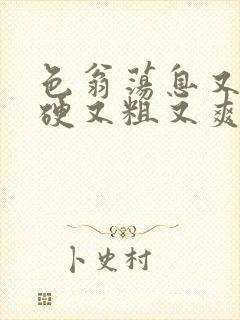 色翁荡息又大又硬又粗又爽