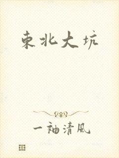 东北大坑封面