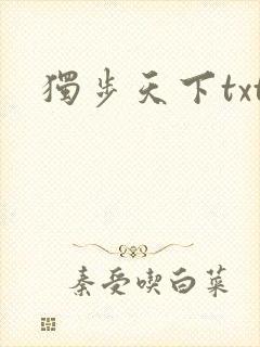 独步天下txt