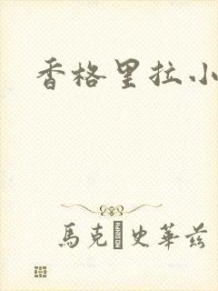 香格里拉小说封面