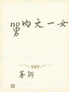 np肉文一女多男