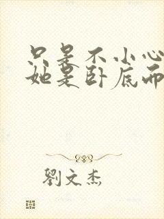 只是不小心发现她是卧底而已封面