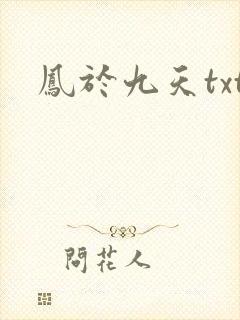 凤于九天txt