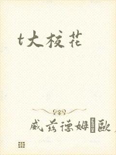 t大校花
