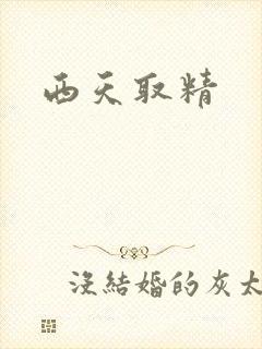 西天取精封面