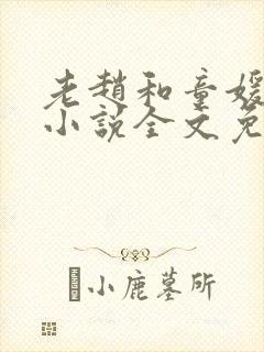 老赵和童媛媛的小说全文免费阅读封面