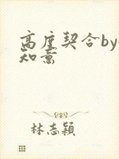 高度契合by洛知意封面