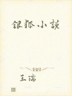 银狐小说