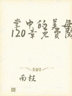 掌中的美母版主120章免费阅读
