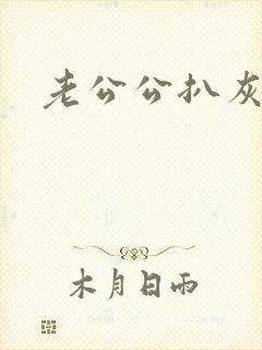 老公公扒灰小说