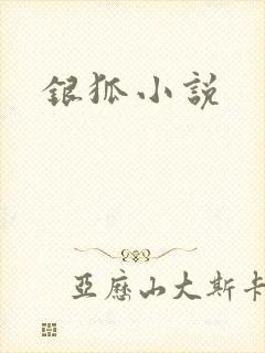 银狐小说