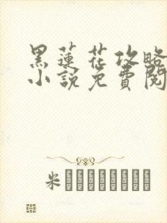 黑莲花攻略手册小说免费阅读封面