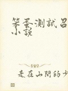 笨蛋测试召唤兽小说