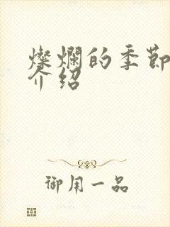 灿烂的季节剧情介绍封面